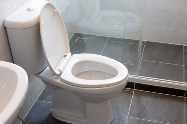 Toilet Replacement in Medina